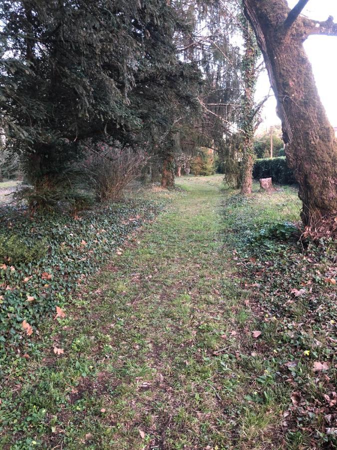 La Maison Au Cedre Marsac-sur-l'Isle エクステリア 写真
