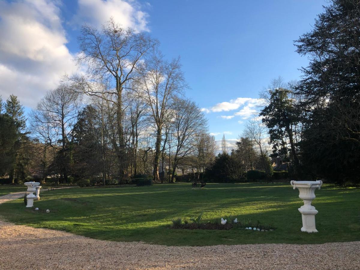 La Maison Au Cedre Marsac-sur-l'Isle エクステリア 写真